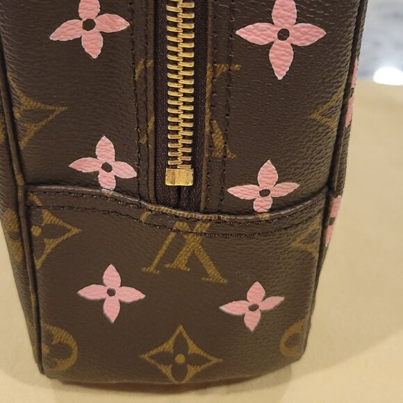 Louis Vuitton Monogram Canvas Toiletries/Makeup Bag - Custom Painted - Picture 3 of 6